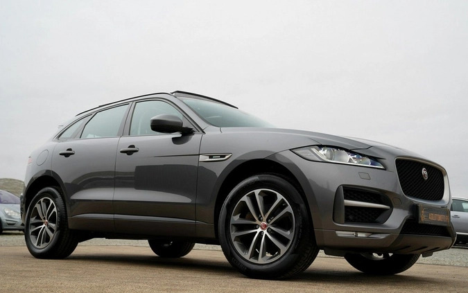 Jaguar F-Pace cena 104700 przebieg: 120157, rok produkcji 2019 z Otmuchów małe 781